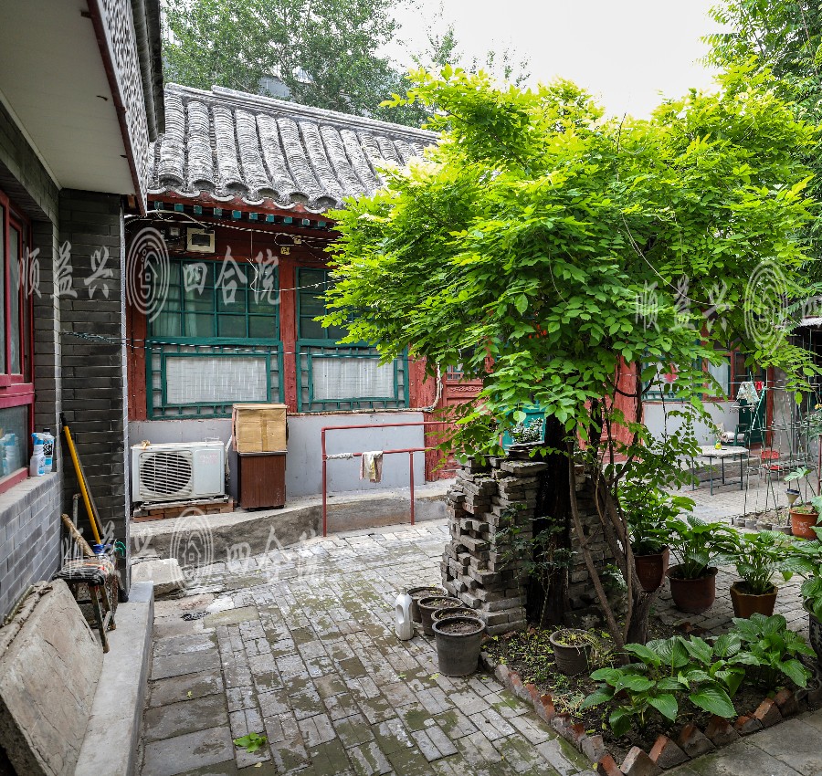 庭院