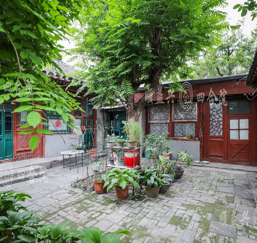 庭院